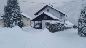 Ferienwohnung Haus Cerny Bad Goisern Am Hallstättersee